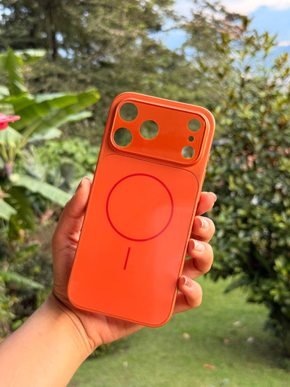 Case Luna